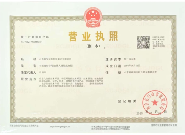 山東泰寶信息科技集團有限公司
